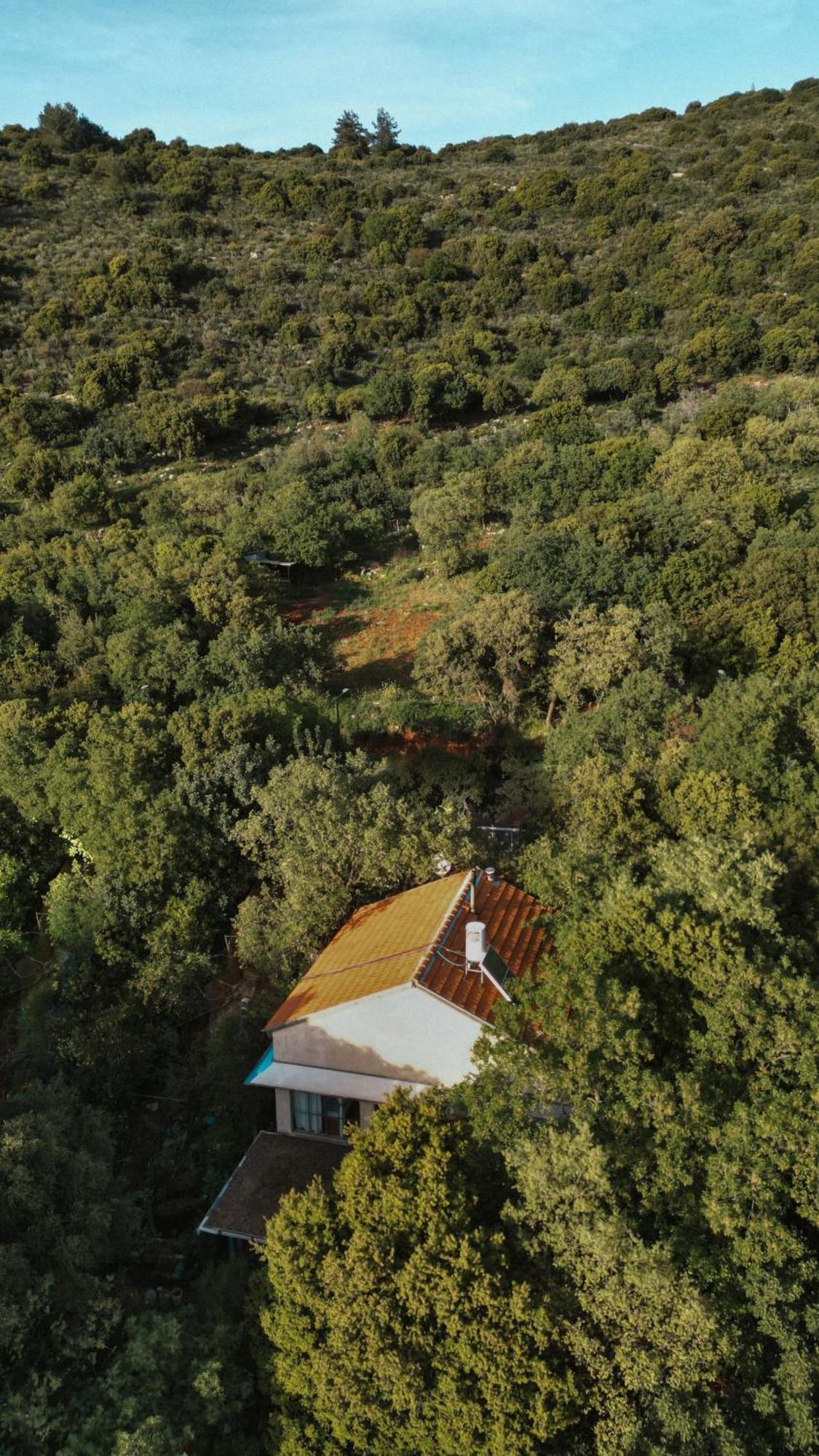 The House In The Oaks הבית באלונים Amirim Exterior foto