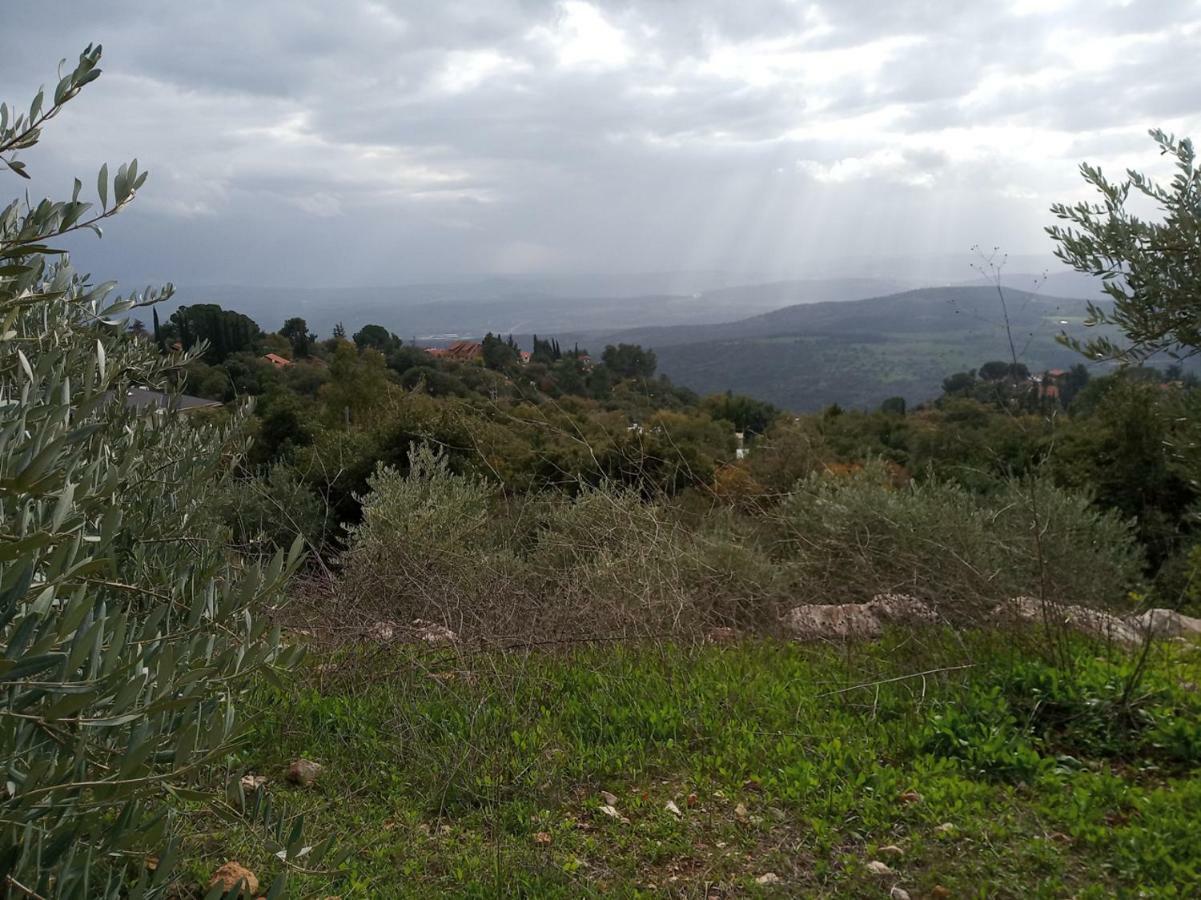 The House In The Oaks הבית באלונים Amirim Exterior foto